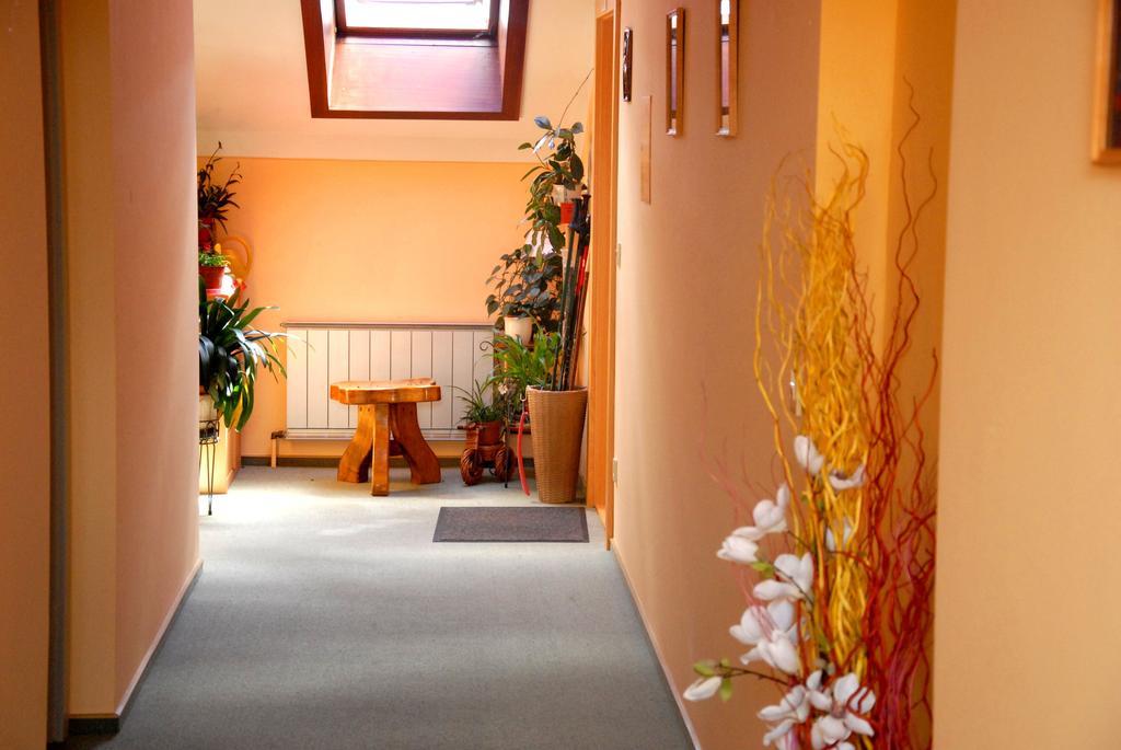 Fruehstueckspension Wiesenhaus Miesenbach  Luaran gambar